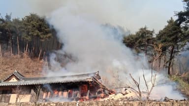 경북 영주 풍기읍 야산에서 산불...현재 진화 중