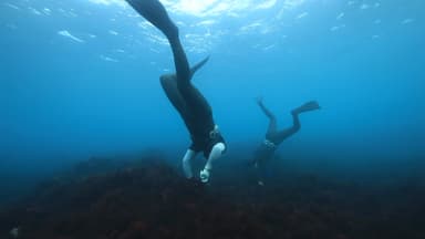 제주 해녀 10명 중 6명은 '70대'...소멸 위기 가속화