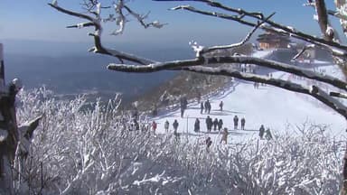 새하얀 겨울빛 내려앉은 무주 덕유산...설경 '절정'