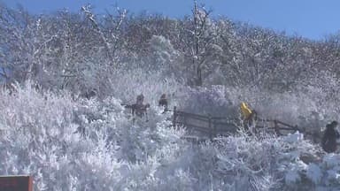 겨울이 빚은 순백의 설경...무주 덕유산 풍경 '절정'