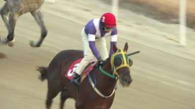 [주간 경마] 마이티초이스, 첫 우승 "아버지의 이름으로"