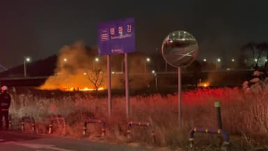 태화강 억새밭 동시다발 불...방화 여부 수사 [앵커리포트]