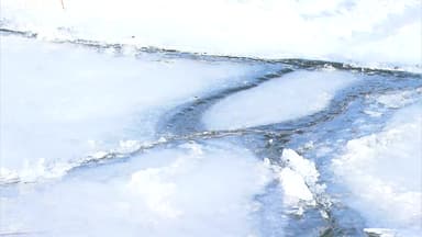 [날씨] 고비 지났지만 이번주도 춥다...대기 건조에 산불도 비상