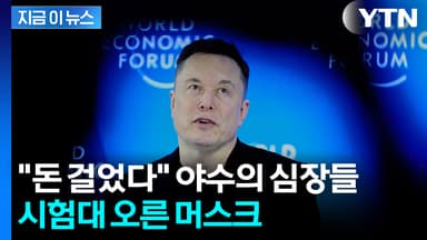 머스크 말에 반대로 베팅했더니...수익률 '짭짤' [지금이뉴스]