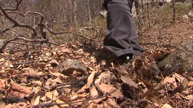 [날씨] 영하 10℃ 안팎 '길어지는 동장군'...전국 산불위기경보 '주의'