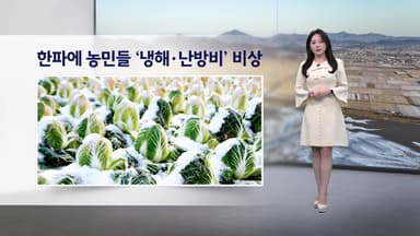 [이슈 날씨] 한파에 농민들 '냉해·난방비' 비상...내일 추위 더 강해져