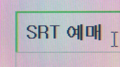 SRT 설 승차권 교통약자 우선예매 결과 예매율 79.4%