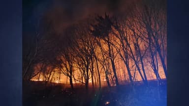 전남 고흥서 산불...산불진화대원 1명 부상