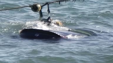 안산 메추리섬에서 승용차 바다로 추락...30대 숨져