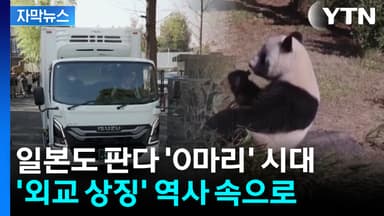 [자막뉴스] '외교 상징' 역사 속으로...일본도 판다 '0마리' 시대