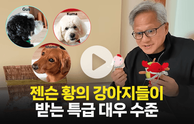 젠슨 황의 반려견이 받는 대우 수준···"개팔자가 상팔자네"