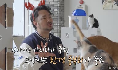 노령묘 돌봄의 핵심은…'수의사가 된 카더가든'의 현실 조언