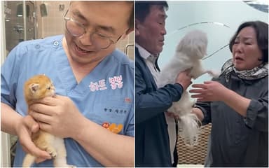 웃음과 눈물, 그리고 기적…올해를 빛낸 동물병원 화제의 영상은