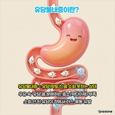 [AI 카드뉴스] 우유 마시면 배 아픈 이유? 유당불내증, 알고 먹자!