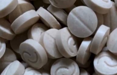 청소년들의 '오디' 파티[어텐션 뉴스]