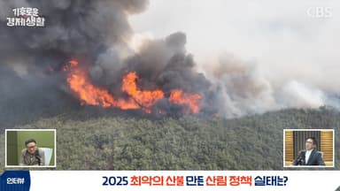 침엽수·임도·복원방식, 최악의 산불 이후 한국에 남은 세 가지 질문[기후로운 경제생활]