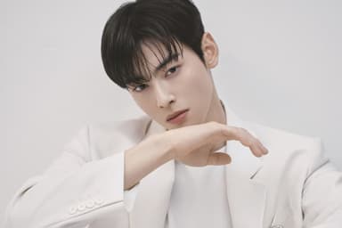 절세(?)미남 차은우 200억 탈세 의혹 총정리!(feat. 국세청 출신 임수정 세무사)