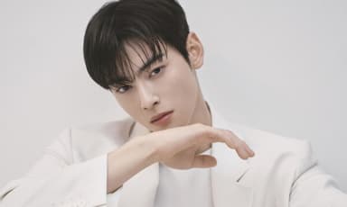 "母 회사가 페이퍼컴퍼니?"…'얼굴 천재' 차은우, 200억 탈세 의혹