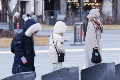 [날씨 LIVE] "출근길 옷차림 든든히"… 서울 등 곳곳 한파특보, 체감온도 '뚝'
