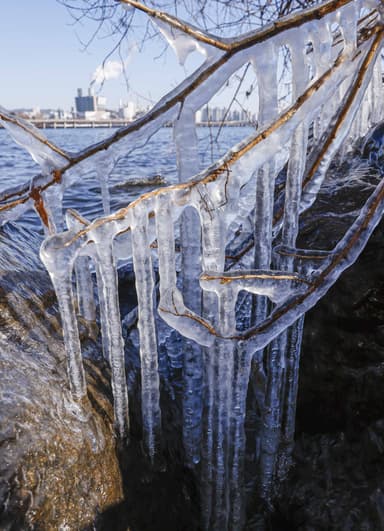 [날씨 LIVE] 출근길 영하 11도 강추위…밤부터 중북부 비·눈