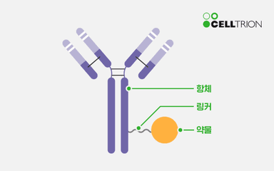 [2026 ED 신년기획] 제약·바이오 판을 읽다② 280억 달러 시장 노린다…ADC에 쏠리는 제약·바이오의 시선
