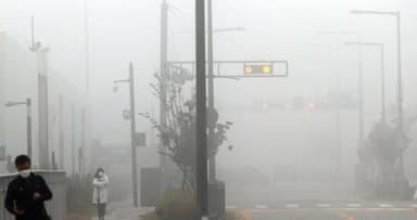 司正 바람에 세종관가는 '각자도생'···정책 품질 저하 우려