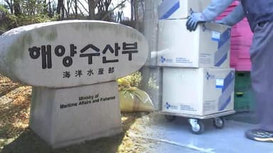 해양수산부 '부산행' 첫발…해운업계 따라가나