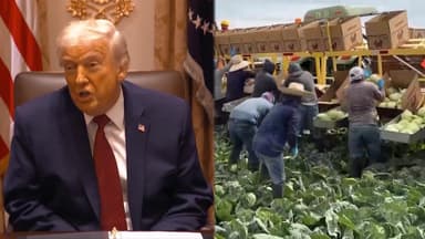 트럼프, 농가에 17조 지원…관세 수익으로 민심 달래기