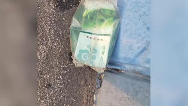 제주에서 또 차(茶) 봉지 마약 발견…17번째 사례