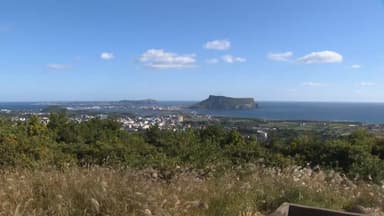 제주 제2공항 예정지 성산읍 토지규제 해제 검토