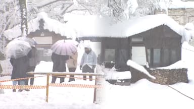 경기북부 눈 시작…중부 내륙 최고 15㎝ 폭설