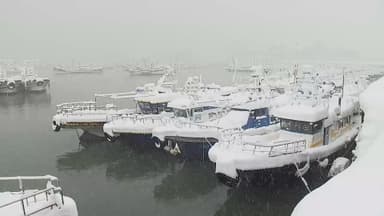 내일은 충남·호남 서해안 대설…태풍급 강풍도 동반