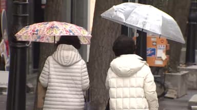 '온화한 주말' 서울은 눈 대신 비…원인은?