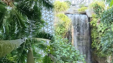 한파 잊은 초록빛 정글…거제 식물원 나들이객 '북적'