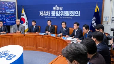 민주당 '지선 공천룰' 당헌 개정안 중앙위 최종 의결