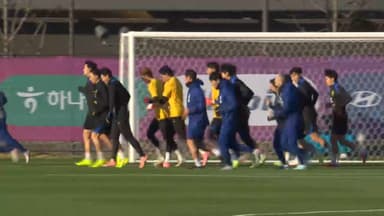 홍명보호, 내년 3월 오스트리아 유럽 평가전 유력