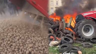 도심에 날아다닌 알감자…"FTA 반대" EU 농민시위