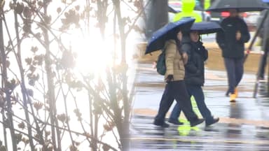 벌써 봄이야? '광주 18.2도'…포근한 주말 곳곳 비