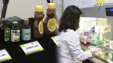 프로폴리스 추출물…"면역 과민 반응 완화 효과"