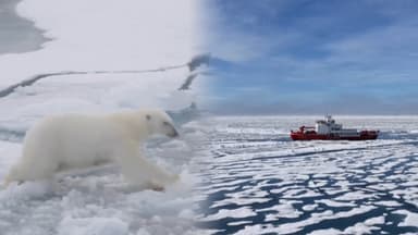 북극 기온 관측사상 최고…빙하 녹는 속도도 빨라져