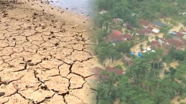 올해도 이상기후로 전세계 '몸살'…극단적 폭염·폭우