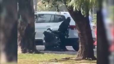 멕시코 사포판 도심서 총격 사건…최소 2명 사망