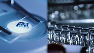 "잠재성장률 반등 원년"…전략산업·생산금융 키운다