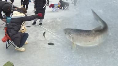 화천 산천어 축제 개막…강원 산지 많은 눈