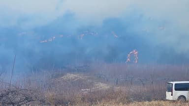 경북 의성 야산에 큰 불…대응 2단계·주민 대피령