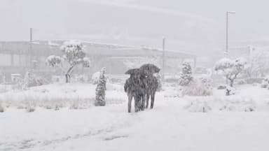 내륙 강풍에 눈보라…일요일 매서운 한파