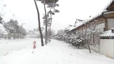 눈보라 이어 냉동고 한파…호남 최대 20㎝ 폭설