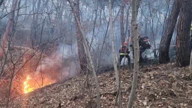 경북 의성군 산불 발생 3시간 만에 주불 진화