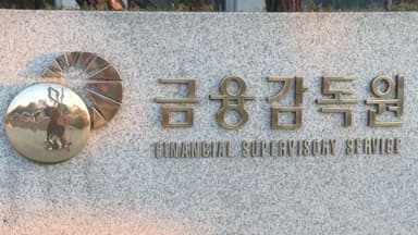 금감원, 쿠팡페이·쿠팡파이낸셜 동시 검사