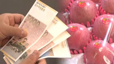 설 성수품 최대 공급…할인 지원 910억원 투입